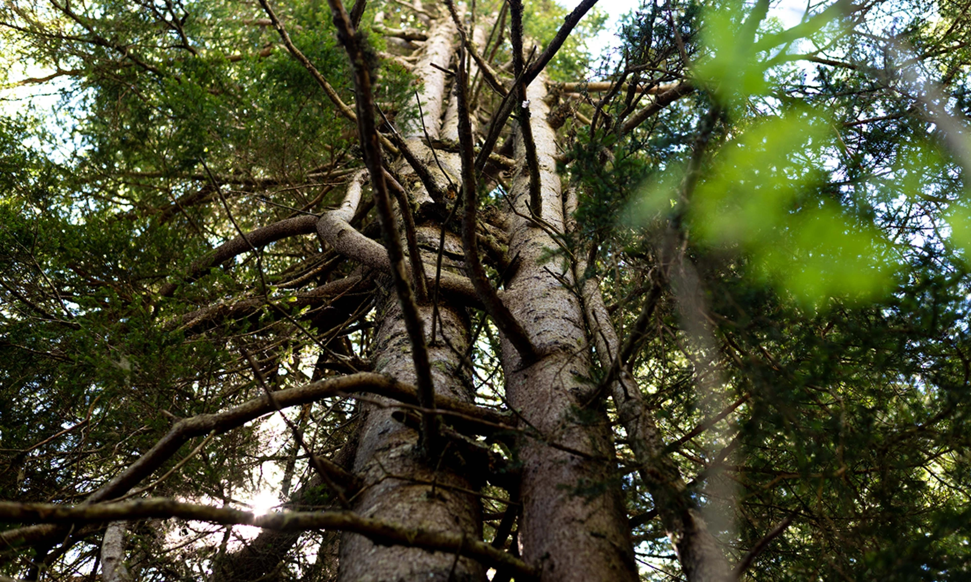 Nachhaltigkeit bei Beosolar