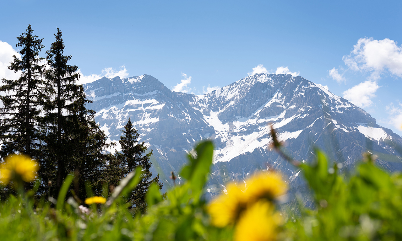 Nachhaltigkeit bei Beosolar